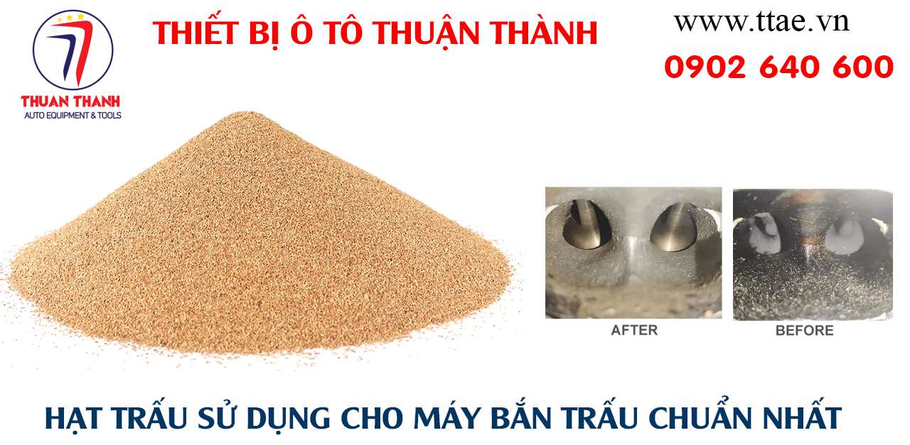 Trấu vệ sinh họng nạp mua ở đâu? Địa chỉ bán trấu làm sạch họng nạp động cơ ô tô.